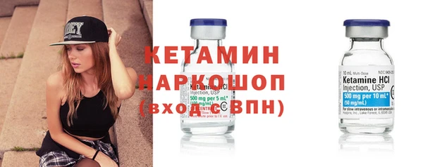 гидра Бердск